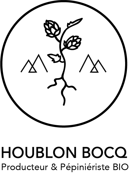 Houblon Bocq - Maraicher Houblon Bocq - Maraicher