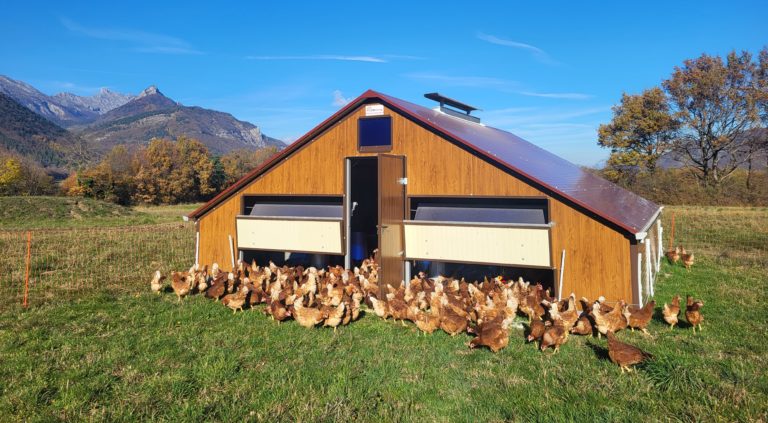 La colline aux oiseaux - Oeufs